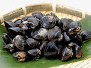【鮮魚】輸入しじみ〈シジミ〉250g前後、50粒前後