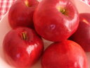 りんご 林檎〈リンゴ〉品種：紅玉〈コウギョク〉他1ケース、10Kg前後、36〜50個前後