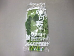 【Ve】【プロ厳選】【築地発送】鮮度抜群、入荷後即発送明日葉〈アシタバ〉1パック、200g前後