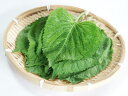 荏胡麻の葉〈エゴマノハ〉1ケース、20パック前後、200g前後 - 【築地通販】おいしいなショップ