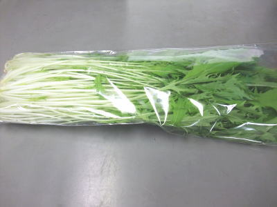 水菜〈ミズナ〉1ケース、20パック前後、4Kg前後