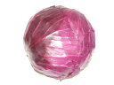 赤キャベツ〈アカキャベツ〉別称:紫キャベツ〈ムラサキキャベツ〉1個、0.5Kg~1.2Kg前後