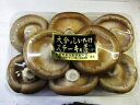 ステーキ椎茸〈ステーキシイタケ〉1パック、6〜8個前後、250g〜300g前後