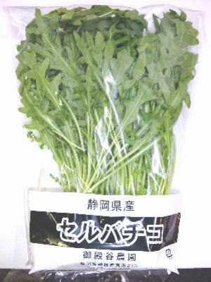 セルバチコ1パック、50g〜100g前後