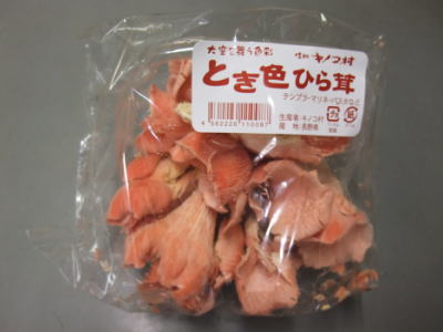 とき色ひら茸〈トキイロヒラタケ〉1パック、100g前後