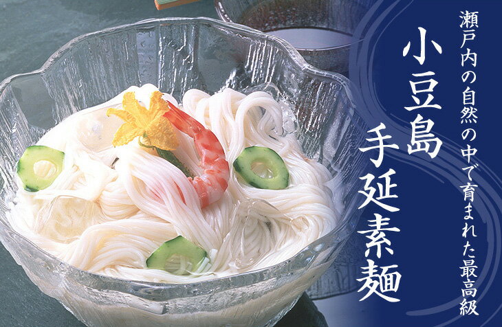 【小豆島手延素麺】 小豆島 そうめん 「島の光」 高級限定品　黒帯 お試しセット　50g×10束【送料無料・ゆうパケット便】ギフト包装 2