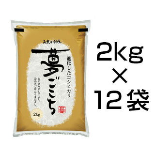 令和2年(2020年) 石川県産 夢ごこち 24kg(2kg×12袋) 白米【送料無...