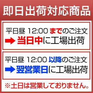 令和3年(2021年) 【7月のやりくり上手】滋賀県産 きぬむすめ （ 10kg ｜ 2kg×5袋 ） 【 送料無料 / お米】【白米】【即日出荷】