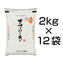 令和2年(2020年) 山形県庄内産 ササニシキ 24kg(2kg×12袋)【白米・玄米選択】【特別栽培米】【送料無料】