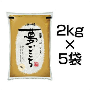 令和2年(2020年) 石川県産 夢ごこち 10kg(2kg×5袋) 白米【送料無料...