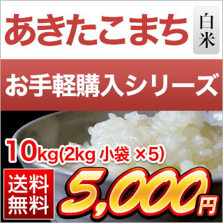 30年 愛知県産 あきたこまち 白米 10kg(2kg×5袋）【送料無料】...
