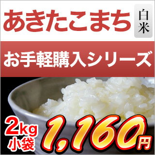 30年 愛知県産 あきたこまち 白米 2kg