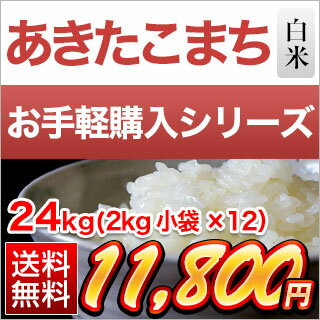 30年 愛知県産 あきたこまち 白米 24kg(2kg×12袋）【送料無料】...