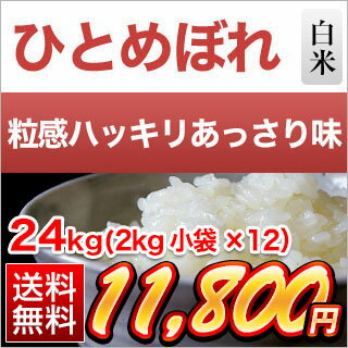 30年産 大分県産　ひとめぼれ〈特A評価〉 24kg（2kg×12袋） 白米【送料無料】