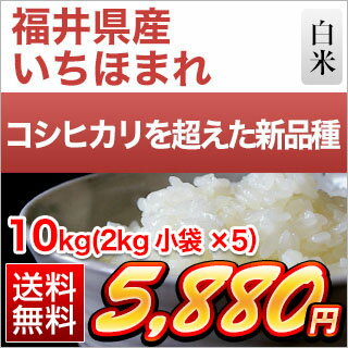 30年 新米 福井県産 いちほまれ 10kg (2kg×5袋)【白米】【送料無料】