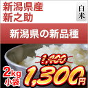 令和元年産(2019年) 新潟県の新ブランド 新之助 白米 2kg