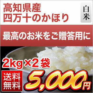 令和元年産(2019年) 新米 贈答用 高知県産 四万十のかほり 4kg（2kg×2...