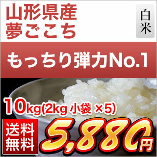 令和元年 (2019年) 山形県産 夢ごこち 白米 10kg(2kg×5袋) 【送料無料】【即日出荷で真空包装】