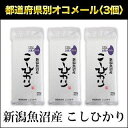 令和3年(2021年) 魚沼産 こしひかり〈特A評価〉 300g(2合) × 3パック 真空パック【白米・ゆうパケット便送料込】