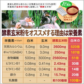 合鴨農法米（無農薬）の酵素玄米粉（4g×30本入り）×10個〈送料無料〉