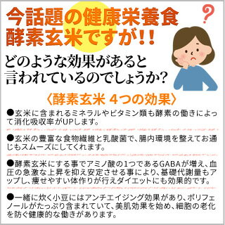 合鴨農法米（無農薬）の酵素玄米粉（4g×30本入り）×10個〈送料無料〉