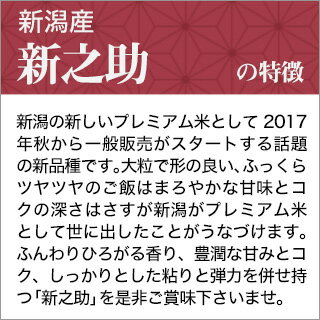 令和5年(2023年) 新潟産 新之助　300g(2合) × 3パック 真空パック【白米・ゆうパケット便送料込】