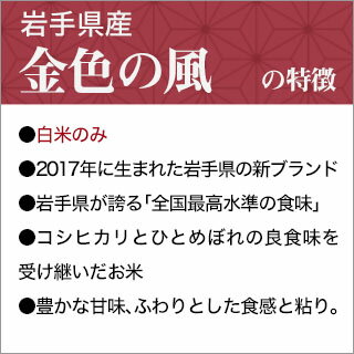 令和3年(2021年) 岩手県産 金色の風 白米〈岩手の最高級米 新品種〉 10kg（2kg×5袋）【送料無料】【米袋は真空包装】【即日出荷】