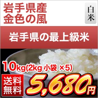 令和3年(2021年) 岩手県産 金色の風 白米〈岩手の最高級米 新品種〉 10kg（2kg×5袋）【送料無料】【米袋は真空包装】【即日出荷】