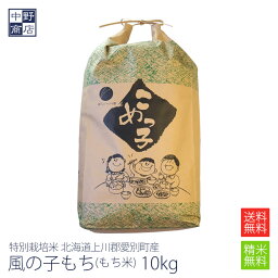 【令和5年度産】もち米 10kg 特別栽培米/北海道産 風の子もち上川郡愛別町【生産者 上川中央農協】(節減対象農薬5割減・化学肥料　5割減) もち米 10kg もち米