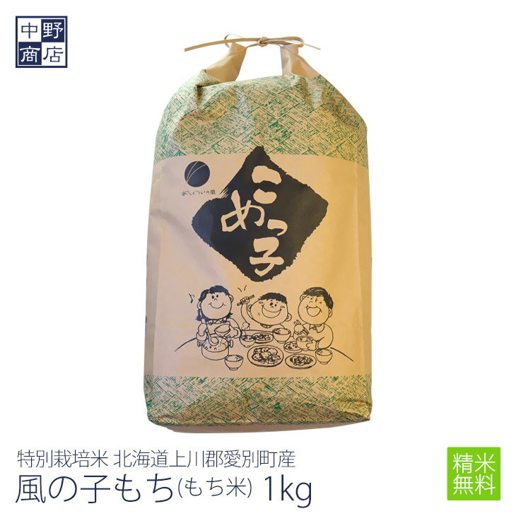 【令和5年度産】もち米 1kg 特別栽培米/北海道産 風の子