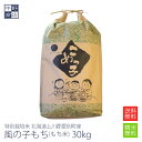 【令和6年度産】もち米 30kg 特別栽培米/北海道産 風の子もち上川郡愛別町【生産者 上川中央農協】(節減対象農薬5割減・化学肥料 5割減) もち米 30kg...