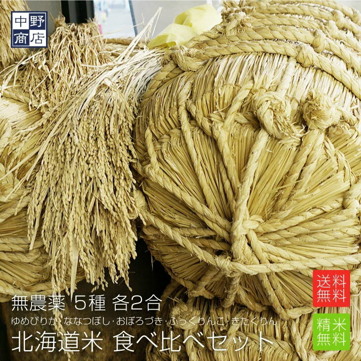 【令和4年度産】メール便送料無料 北海道産 無農薬米 お試しサイズ 食べ比べセット(...