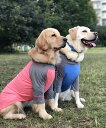 犬服 ドックウエアー Tシャツ 中型犬 大型犬 犬 DOG T 吸水 速乾 日本製 シェルティダルメシアン ボーダーコリー コッカスパニエル ブラドール ゴール...