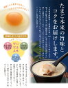 【楽天1位】阪本鶏卵 農園からのおくりもの茶碗蒸しギフトセット のし対応可 3