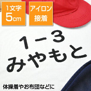 カッティングネーム5cm【送料無料】アイロン転写 ラバー素材 大きいサイズ お名前グッズ 10文字まで 選べるイラスト …