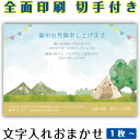暑中見舞い 残暑見舞い イラスト 官製はがき まとめ買い はがきセット 10枚 5枚 1枚 おしゃれ 絵葉書 15枚 20枚 25枚 30枚 35枚 50枚 印...