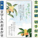 暑中見舞い 残暑見舞い イラスト 官製はがき まとめ買い はがきセット 10枚 5枚 1枚 おしゃれ 絵葉書 15枚 20枚 25枚 30枚 35枚 50枚 印...