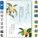 【自分で名入れできる】暑中見舞い 残暑見舞い イラスト 官製はがき まとめ買い はがきセット 10枚 5枚 1枚 おしゃれ 絵葉書 15枚 20枚 25枚 30...