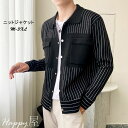 ニットカーディガン メンズ 長袖 ショート丈 ストライプ柄 ファスナー リブ ジャケット アウター 細身 無地 カジュアル おしゃれ ファッション 秋 新作 送料無料(4)