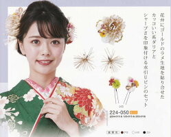ブランド ヘアアクセサリー 成人式 和服 振袖 髪飾り に使える 髪飾り 卒業式 ヘアアクセサリー 結婚式 成人式などの和装 振袖姿にぴったりの髪飾り 大岡 店 Fashion コーム 全3種類 No 224 050 きもの ブランド ヘアアクセサリー 成人式 和服 振袖 髪飾り に使える 髪飾り 卒業式 ヘアアクセサリー 結婚式 成人式などの和装 振袖姿にぴったりの髪飾り 大岡 店 Fashion コーム 全3種類 No 224 050 きもの