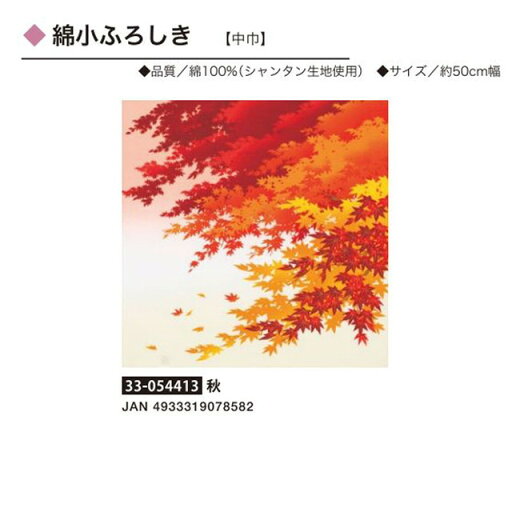 綿小ふろしき・自遊布・秋・No.054413 綿小ふろしき・自遊布・秋・No.054413