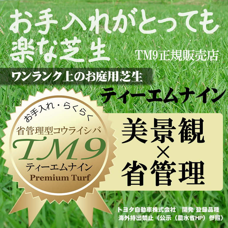 芝生 TM9 2平米 ティーエムナイン 鹿児島産 高麗芝 手入れが楽 簡単で見た目もキレイな芝生 楽天市場芝生ジャンル連続1位獲得 やっぱり人工芝より天然芝 ガーデニング DIY 美景観 省管理 少ない肥料【店頭受取対応商品】