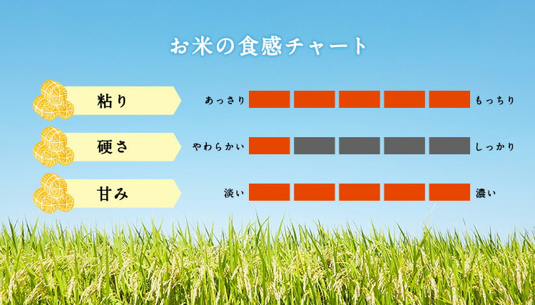 ����7ǯ�� �� ����7ǯ 10kg �ٻ����� ����� �������� �� ���� ���� 10���� �ٻ����������������10kg ������� ������ ���� �� ����� ���� ������ ���� ������ˤ� ���� £��ʪ ̾���� �ץ쥼��� ���ñۤ� ���� �Τ��б�