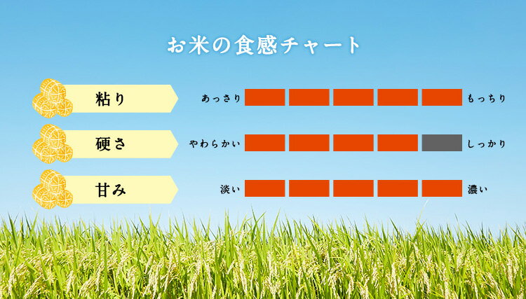 令和5年産 米 富山県産 無洗米こしひかり 1...の紹介画像3