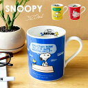 マグ コップ スヌーピー 300ml マグカップ SNOOPY かわいい Peanut 女の子 レディース 陶器 レンジOK 電子レンジ コーヒー コーヒーカップ 紅茶 イラスト キャラ キャラクター 食器 箱付き インテリア プレゼント 一人暮らし 引っ越し祝い お祝い