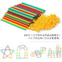 おもちゃ 組み立て 知育玩具 パズル 立体パズル 誕生日 女の子 子供 パイプ 子供 知育 玩具 600ピース 立体 ブロック パズル おしゃれ 男の子 プレゼ...