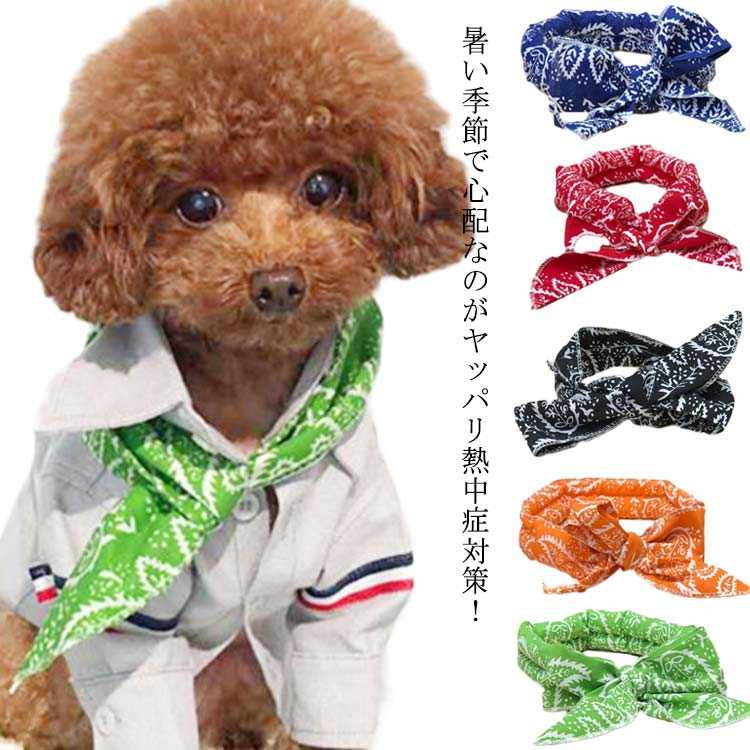 飼い主とお揃い、5点セット!冷感タオル ひんやりタオル 犬 バンダナ ネッククーラー ペット用 暑さ対策 首輪 犬用 猫用 熱中症対策 スカーフ 小型犬 中型犬...