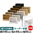 日本製 本棚 F★★★★ 低ホルムアルデヒド【イージーロック棚受タイプ】オーダー 本棚 収納 棚 書棚 ラック サイズオーダー 大容量【送料無料】オーダーマルチラック 奥行40cm 高さ49cm 幅50cm【耐荷重 タフタイプ】(3)