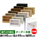 日本製 本棚 F★★★★ 低ホルムアルデヒド【イージーロック棚受タイプ】オーダー 本棚 収納 棚 書棚 ラック サイズオーダー 奥深 大容量【送料無料】オーダーマルチラック 奥行46cm 高さ49cm 幅68cm【耐荷重 タフタイプ】(3)