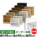 日本製 本棚 F★★★★ 低ホルムアルデヒド【イージーロック棚受タイプ】オーダー 本棚 収納 棚 書棚 ラック サイズオーダー 奥深 大容量【送料無料】オーダーマルチラック 奥行46cm 高さ60cm 幅55cm【耐荷重 タフタイプ】